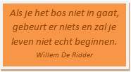als je het bos niet in gaat gebeurt er niets en zal je leven niet echt beginnen